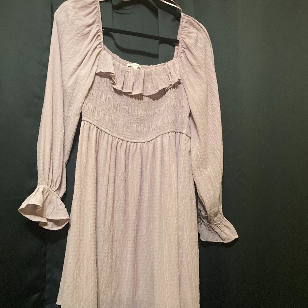 Blu Pepper Smocked Puff Long Sheer Sleeve Dress Large